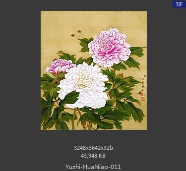 余稚-花鸟画十二开