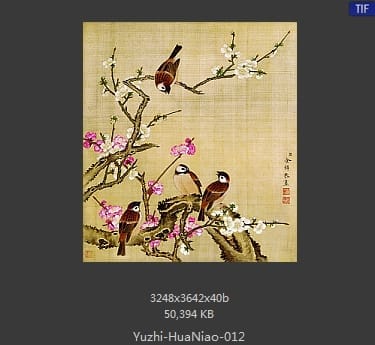余稚-花鸟画十二开