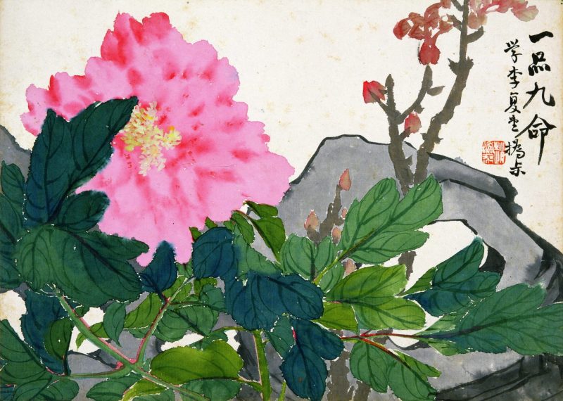 花卉图册十开