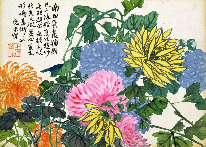 花卉图册十开