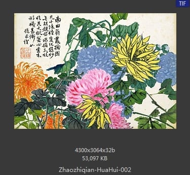 赵之谦-花卉图册十开