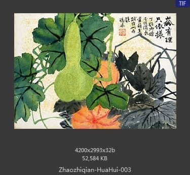赵之谦-花卉图册十开