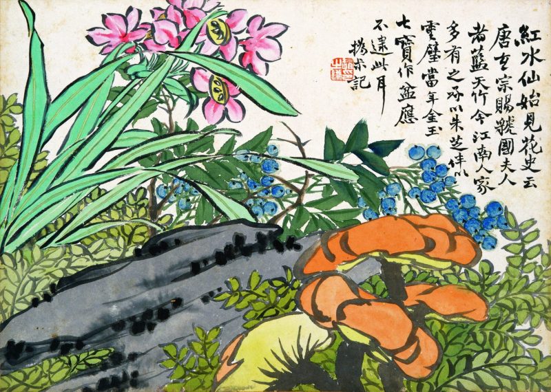 花卉图册十开
