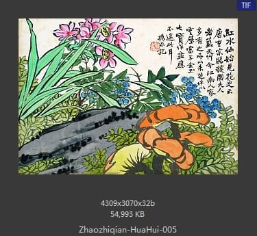 赵之谦-花卉图册十开