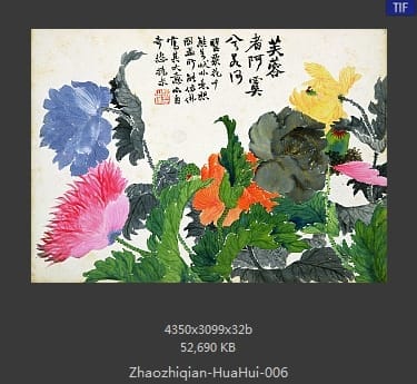 赵之谦-花卉图册十开