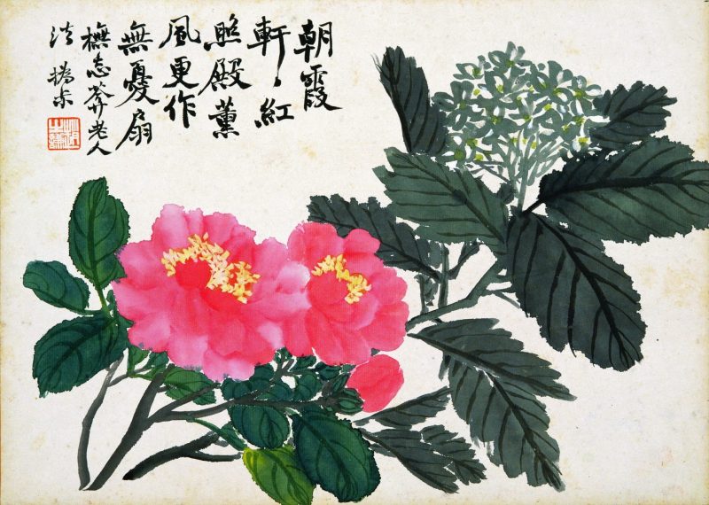 花卉图册十开