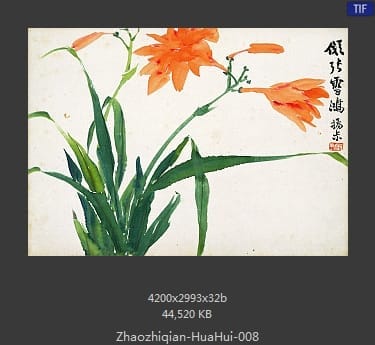 赵之谦-花卉图册十开