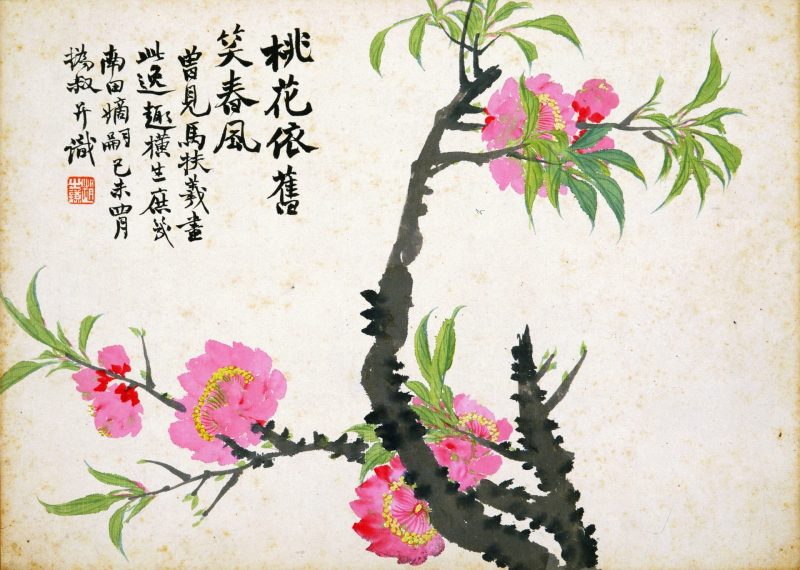 花卉图册十开