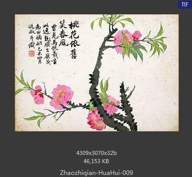 赵之谦-花卉图册十开