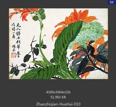 赵之谦-花卉图册十开