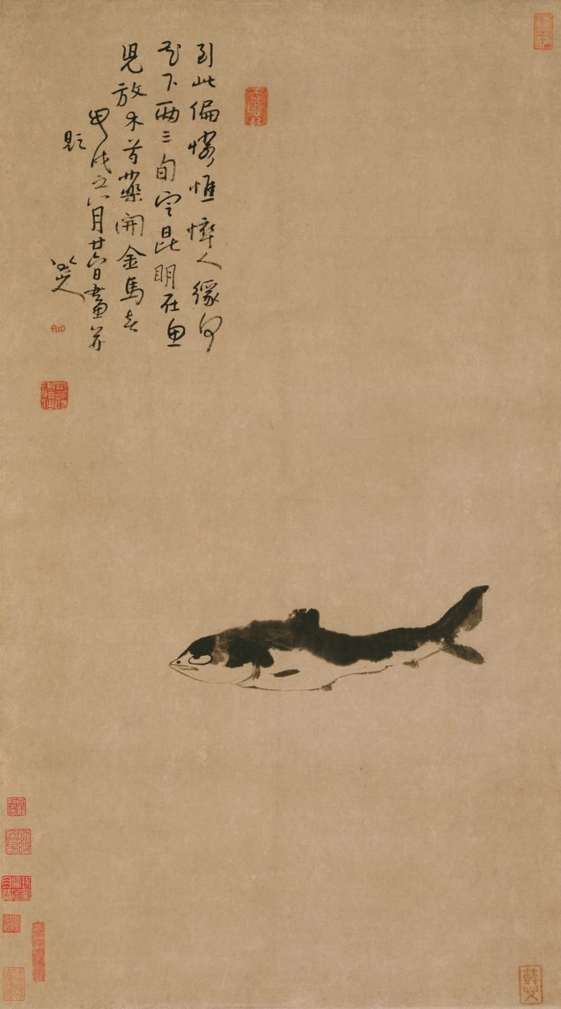 鱼