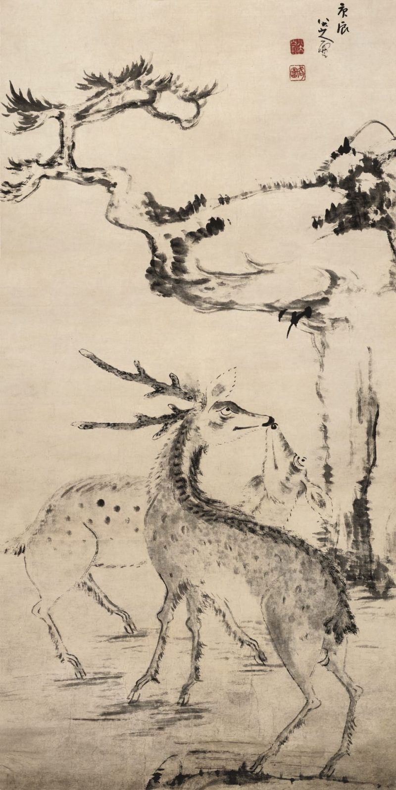松树双鹿图