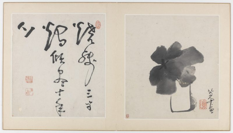 花鸟虫鱼图册