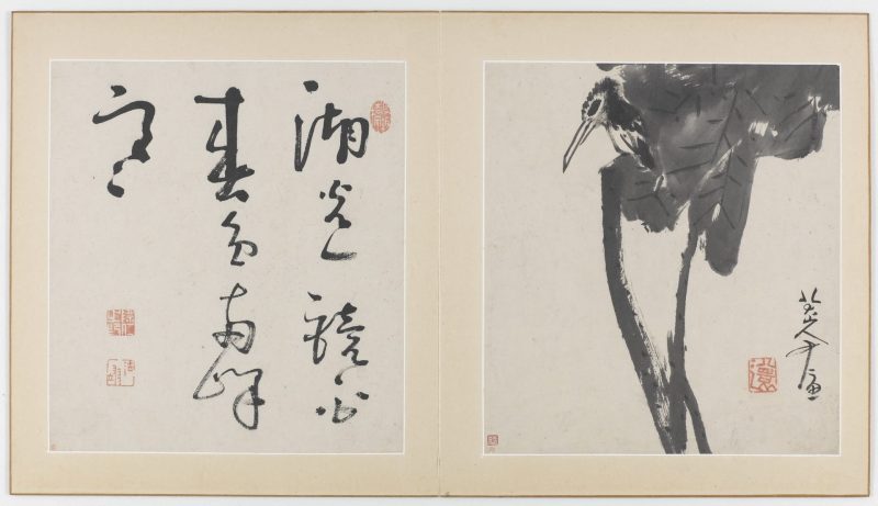 花鸟虫鱼图册