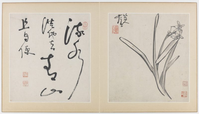 花鸟虫鱼图册