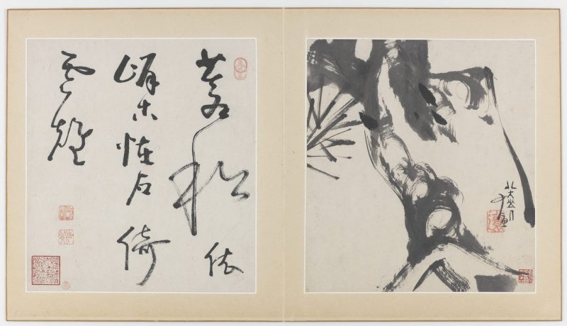 花鸟虫鱼图册