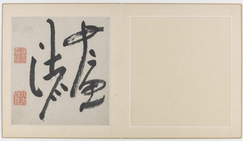 花鸟虫鱼图册