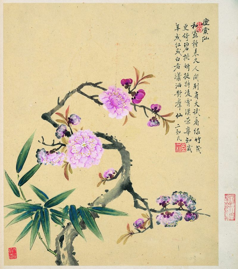 花卉
