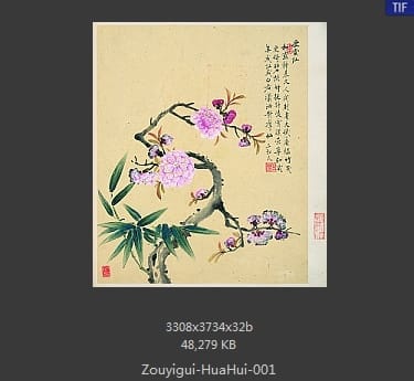 邹一桂-花卉