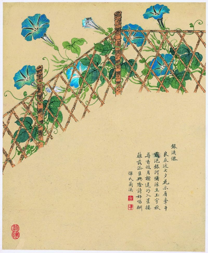 花卉