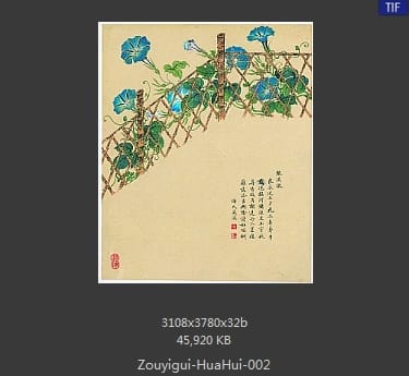 邹一桂-花卉