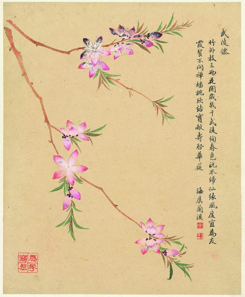 花卉