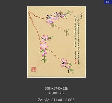 邹一桂-花卉