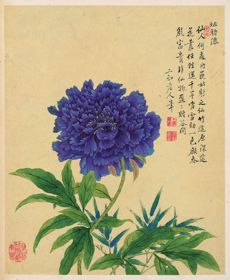 花卉