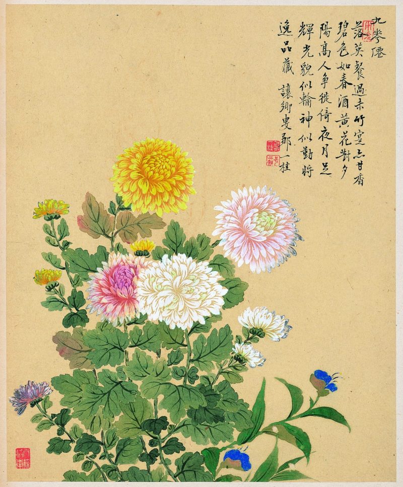 花卉