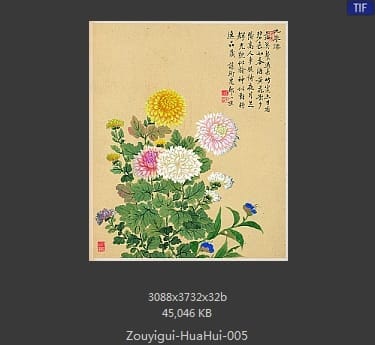 邹一桂-花卉