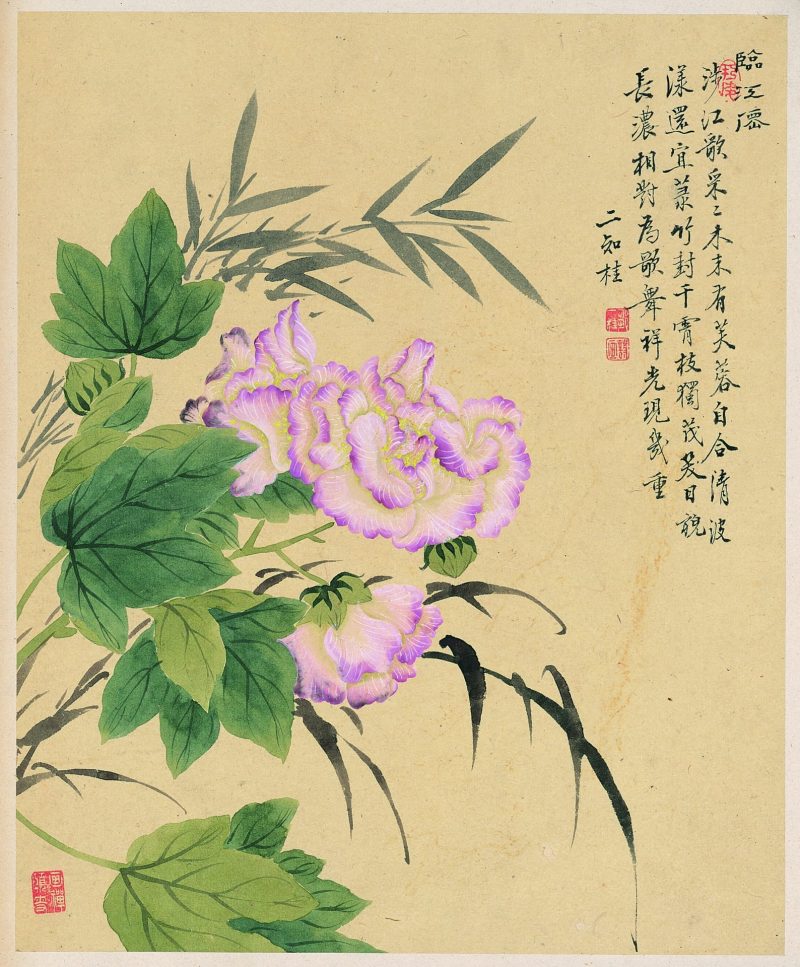 花卉