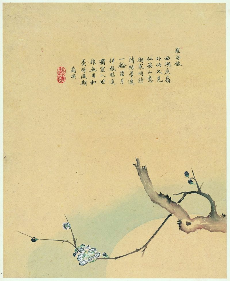 花卉