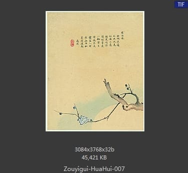 邹一桂-花卉