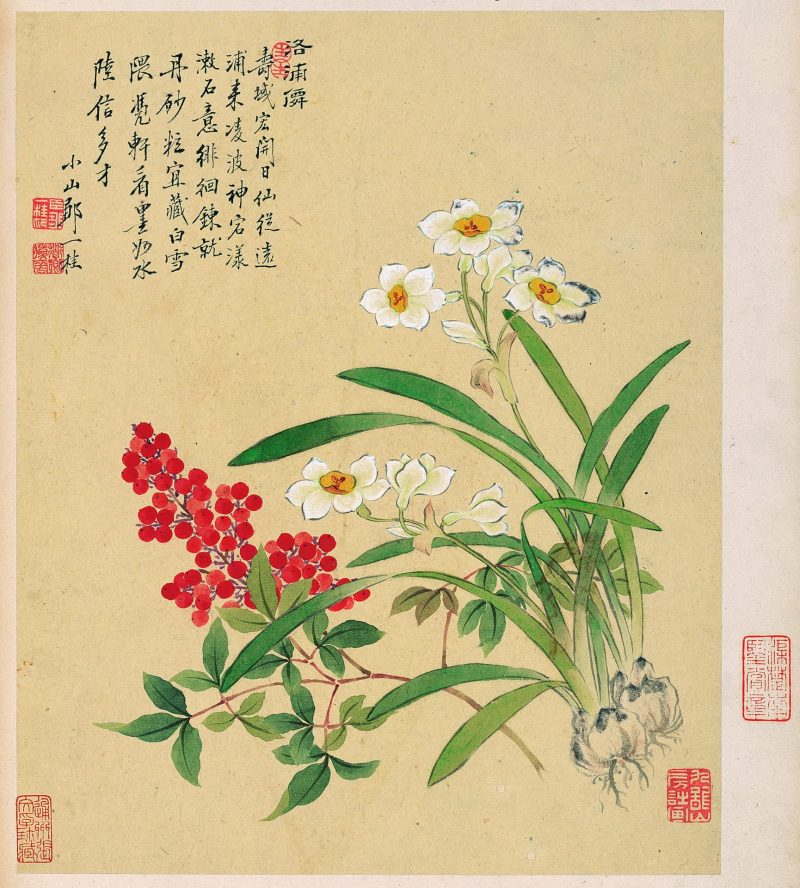 花卉