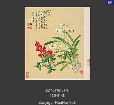 邹一桂-花卉