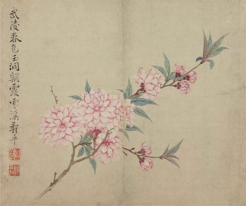 花卉