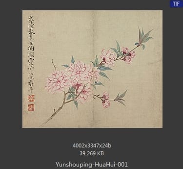 恽寿平-花卉