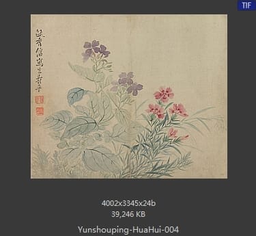 恽寿平-花卉
