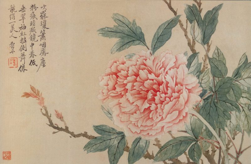 花卉