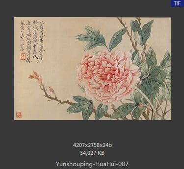 恽寿平-花卉