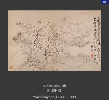恽寿平-花卉