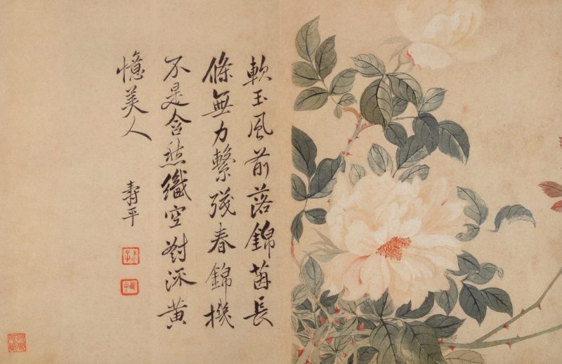 花卉