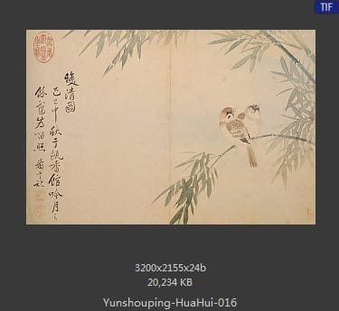 恽寿平-花卉