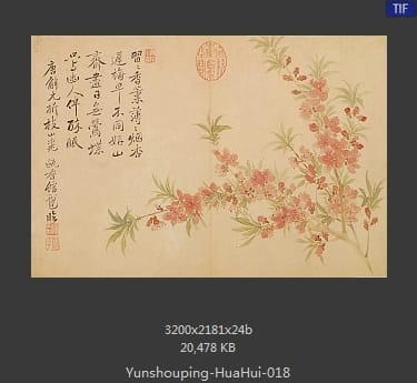 恽寿平-花卉