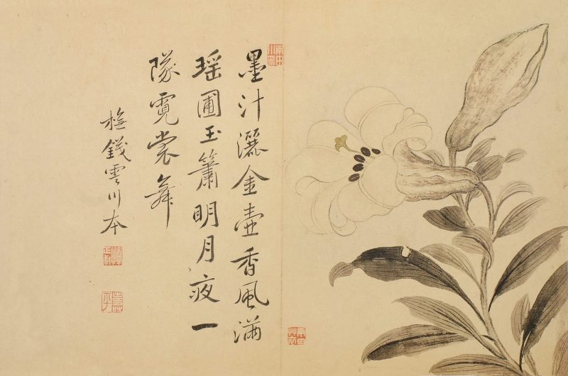 花卉