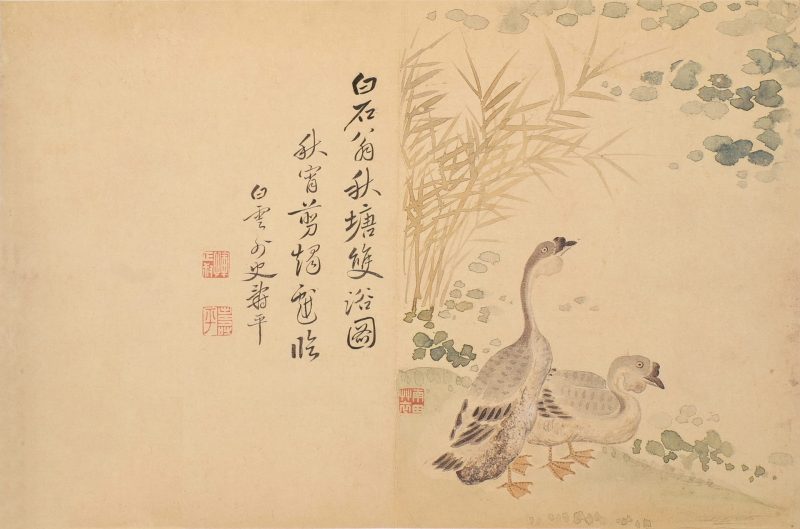 花卉