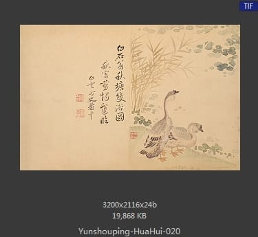 恽寿平-花卉