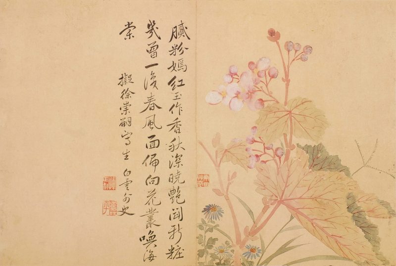 花卉