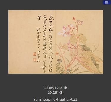 恽寿平-花卉