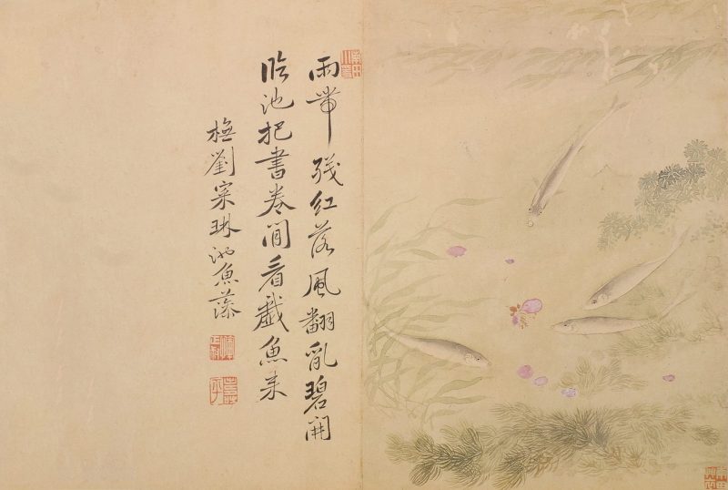 花卉